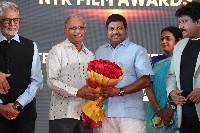 Kalavedika NTR Film Awards Event Photos
